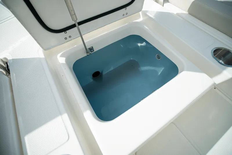 Slide: The Image of Boston Whaler 250 Dauntless 2026 - 8