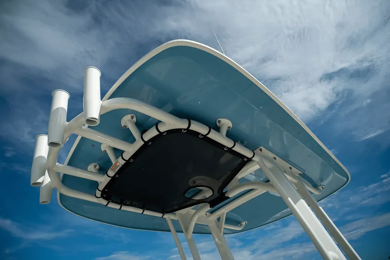 Slide: The Image of Boston Whaler 250 Dauntless 2026 - 9