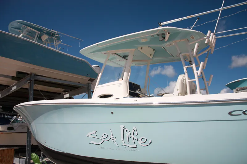 Slide: The Image of Ein Cobia 301 Center Console Boot von 2018 mit einem blauen Rumpf und einem T-Top. - 6
