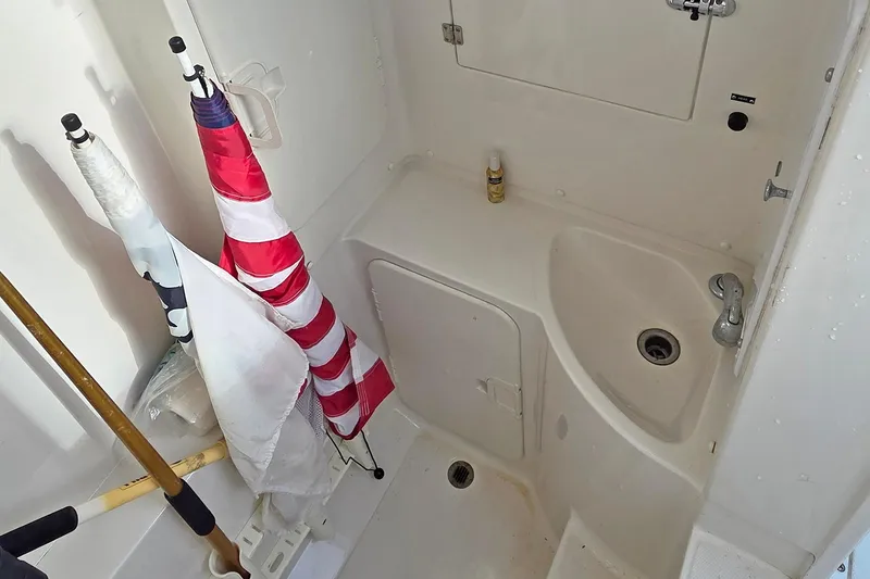 Slide: The Image of Jupiter 31 Cuddy 2001 - 14