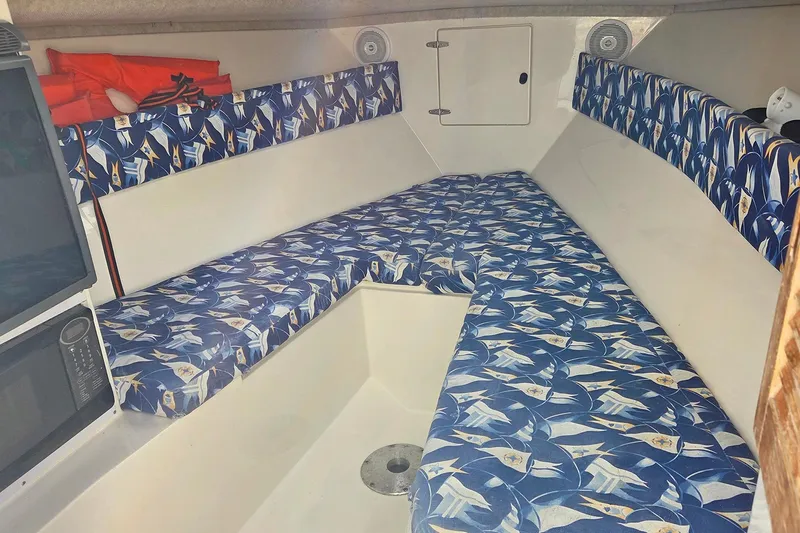 Slide: The Image of Jupiter 31 Cuddy 2001 - 15