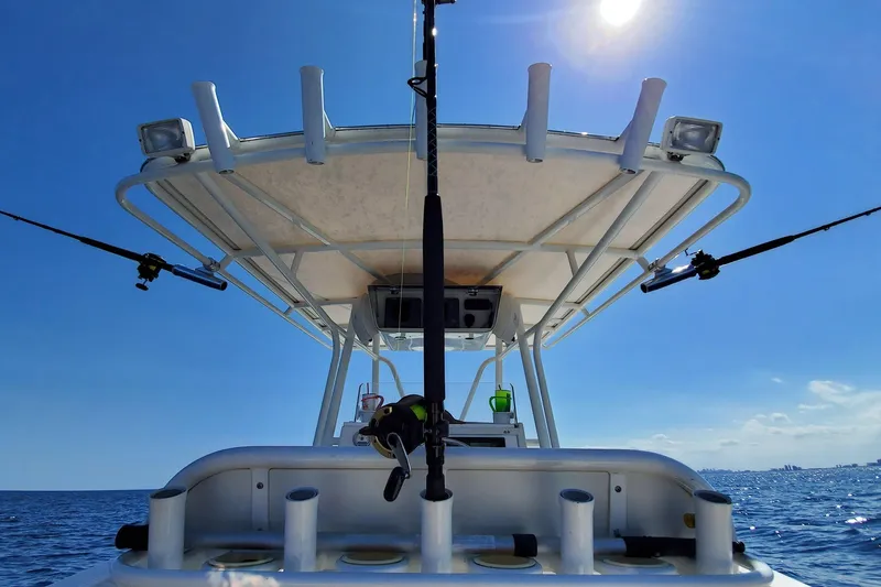 Slide: The Image of Jupiter 31 Cuddy 2001 - 18