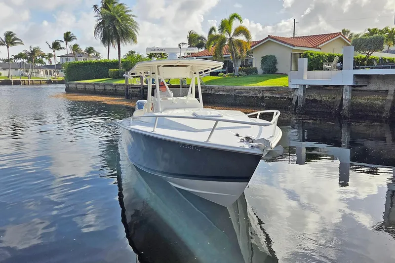 Slide: The Image of Jupiter 31 Cuddy 2001 - 2