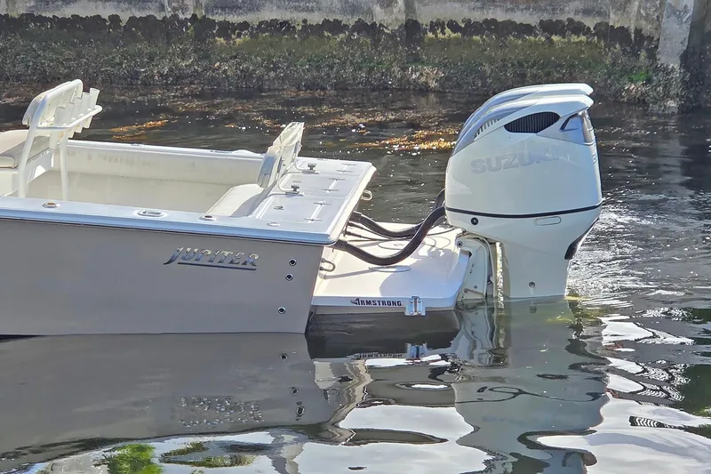 Slide: The Image of Jupiter 31 Cuddy 2001 - 4