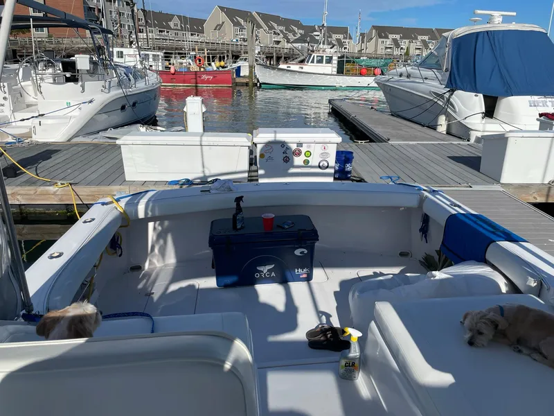 Slide: The Image of 1995 Blackfin 29-2 Combi boat docked at marina with clear blue sky. - 12