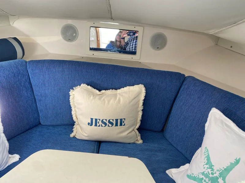 Slide: The Image of Interior of 1995 Blackfin 29-2 Combi with blue seating and decorative pillows. - 19