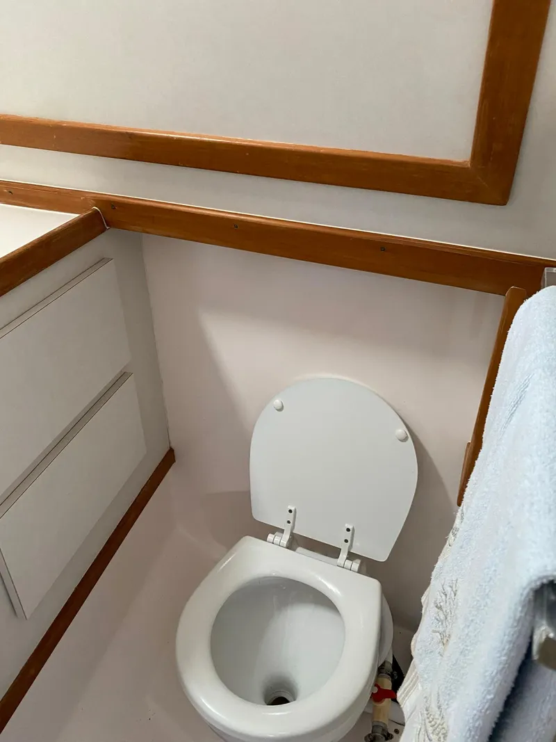 Slide: The Image of 1995 Blackfin 29-2 Combi boat bathroom with white toilet and wooden trim. - 21
