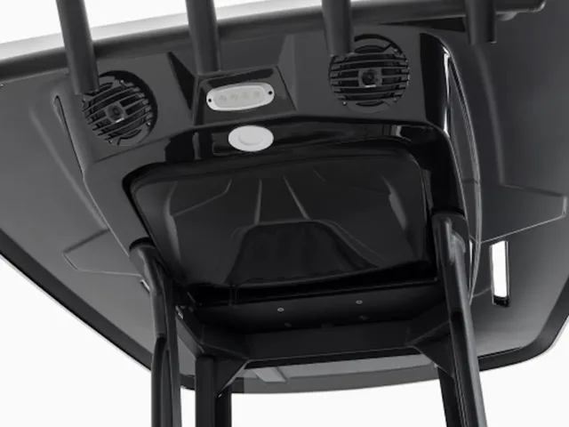 Slide: The Image of Yamaha 255 FSH Sport E 2025 - 8