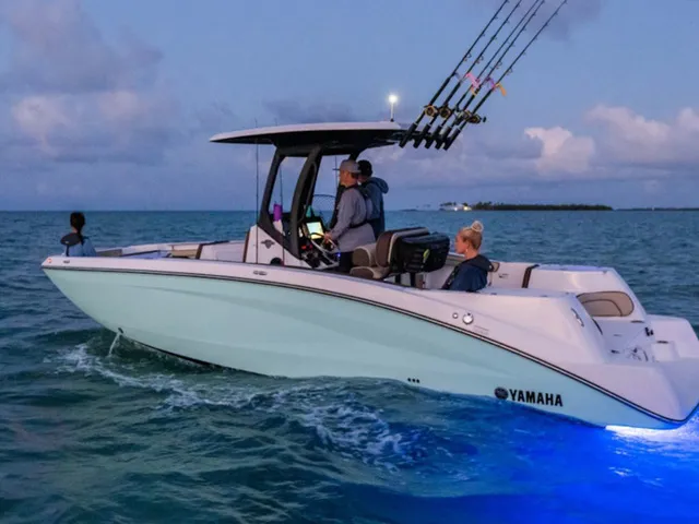 Slide: The Image of Yamaha 255 FSH Sport E 2025 - 5