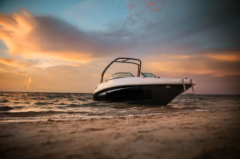 Slide: The Image of Sea Ray 240 Sundeck 2016 - 5