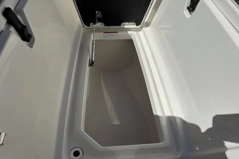 Slide: The Image of Sailfish 276 DC 2021 - 10