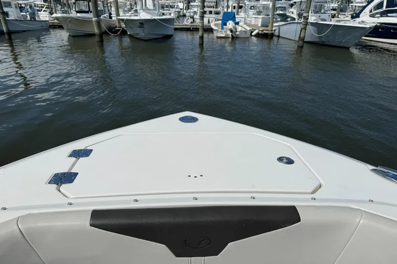 Slide: The Image of Sailfish 276 DC 2021 - 15