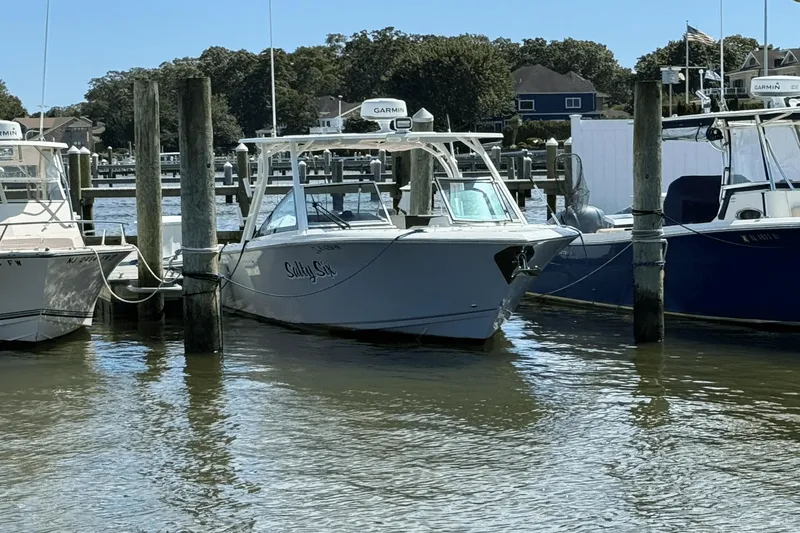 Slide: The Image of Sailfish 276 DC 2021 - 2