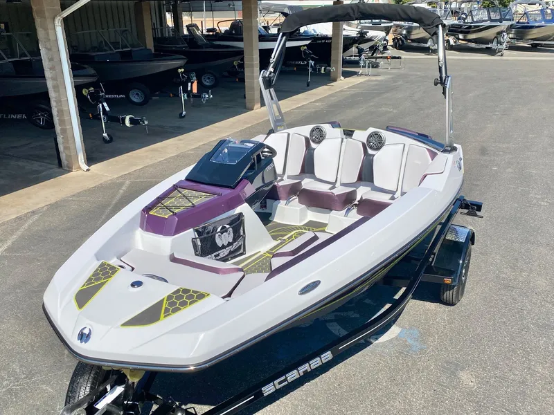 Slide: The Image of Scarab 165 ID 2023 - 11