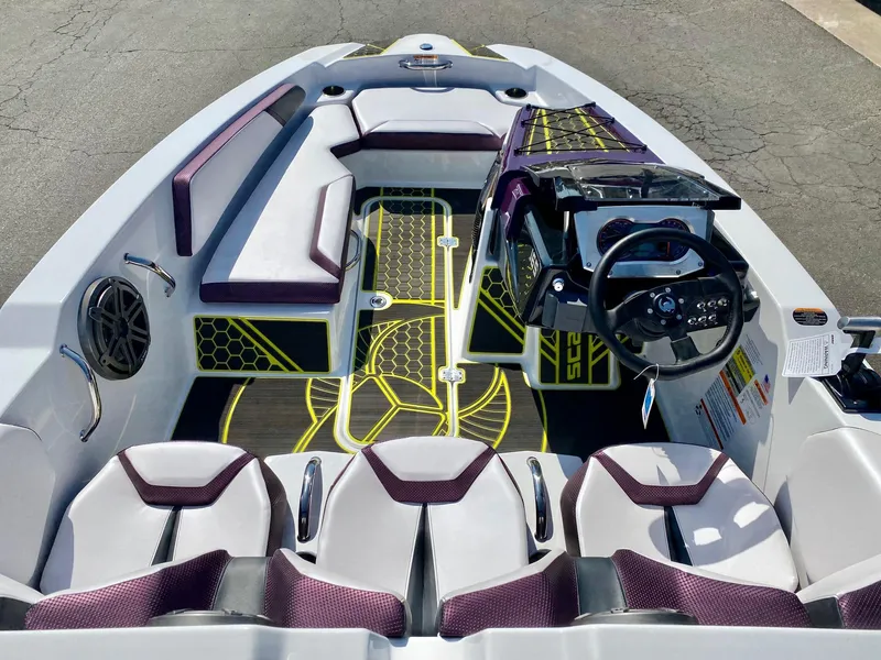 Slide: The Image of Scarab 165 ID 2023 - 3