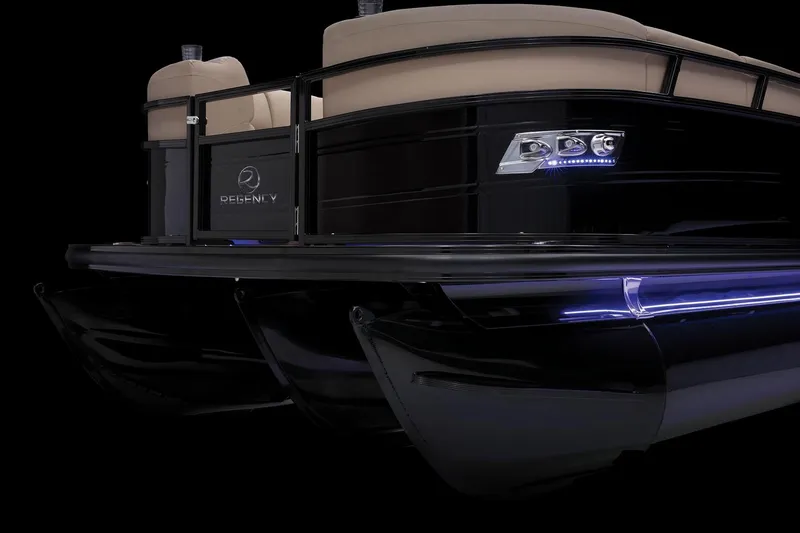 Slide: The Image of Regency 250 LE3 2023 - 43