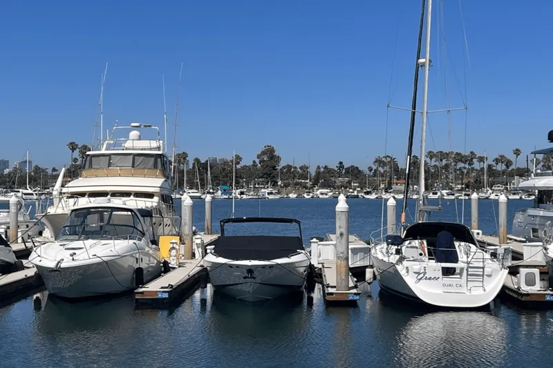 Slide: The Image of Cruisers 338 SOUTH BEACH 2019 - 43