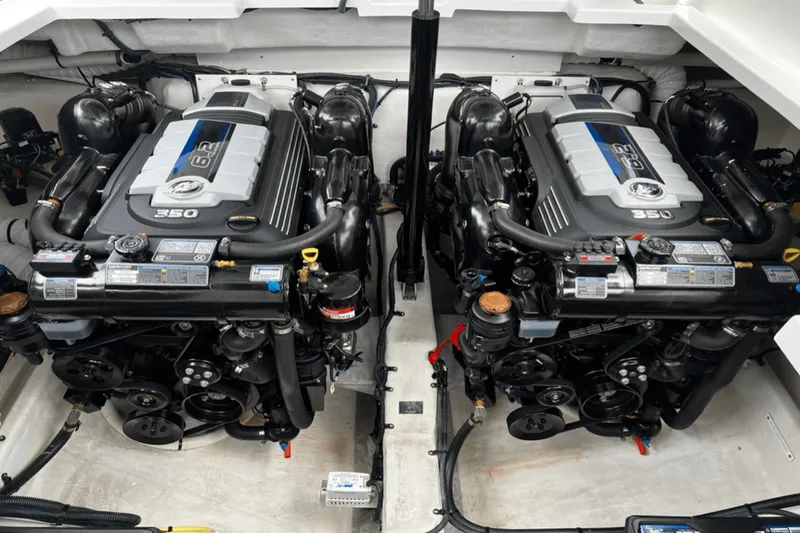 Slide: The Image of Cruisers 338 SOUTH BEACH 2019 - 47