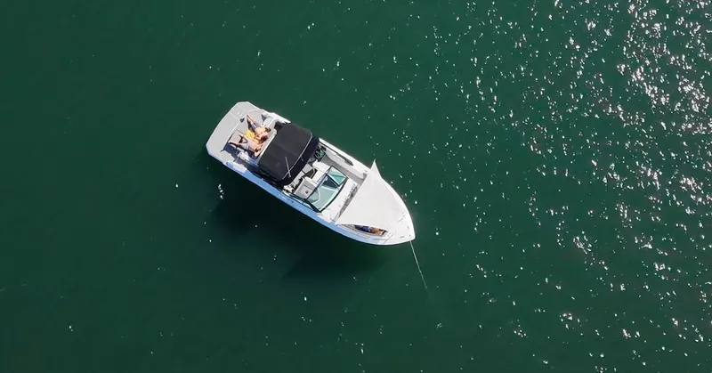 Slide: The Image of Cruisers 338 SOUTH BEACH 2019 - 2