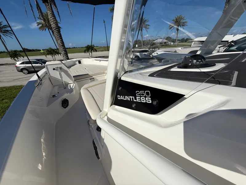 Slide: The Image of Boston Whaler 250 Dauntless 2027 - 21