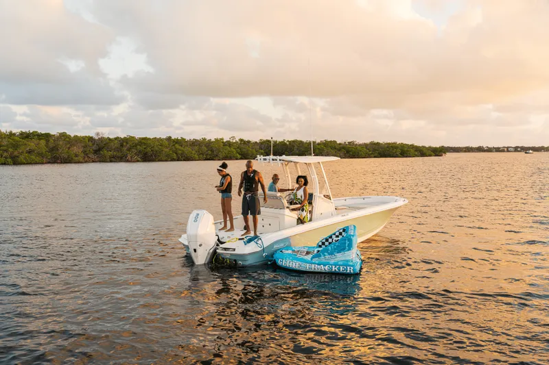 Slide: The Image of Boston Whaler 250 Dauntless 2027 - 28