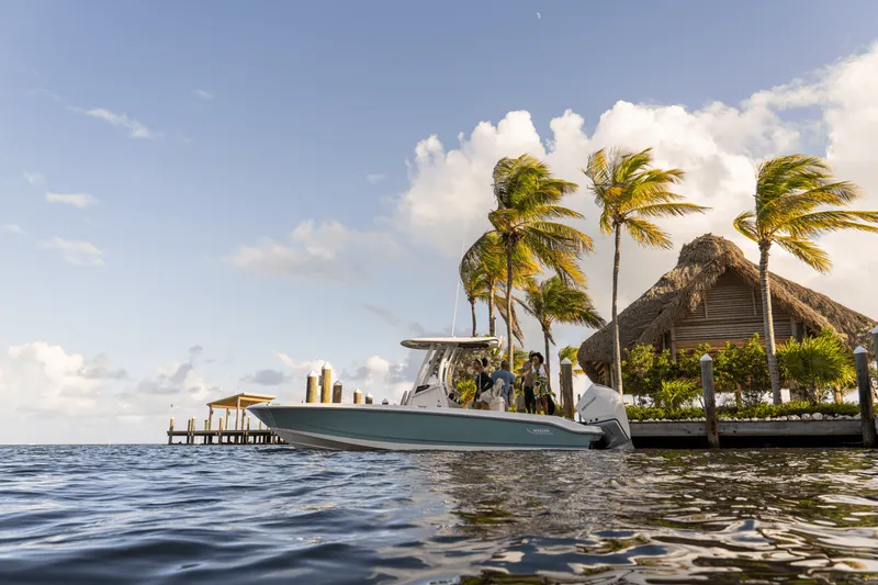 Slide: The Image of Boston Whaler 250 Dauntless 2027 - 24