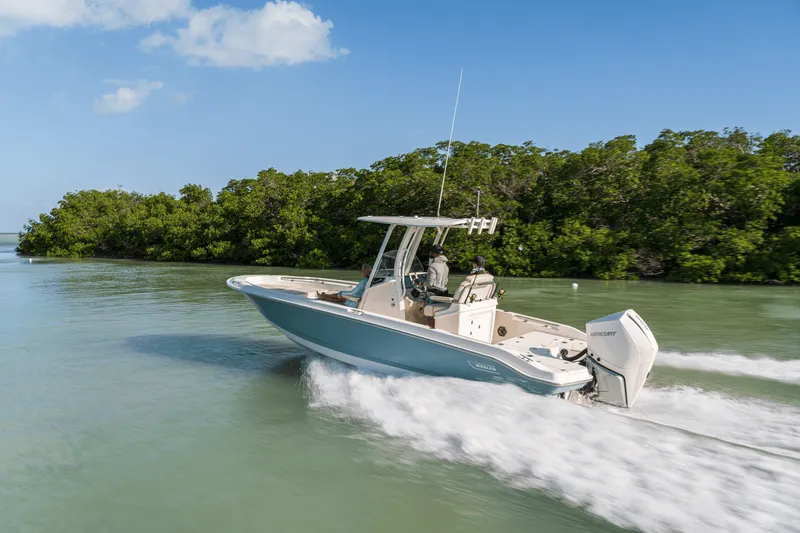 Slide: The Image of Boston Whaler 250 Dauntless 2027 - 15