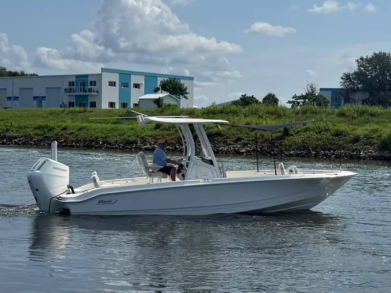 The Image of Boston Whaler 250 Dauntless 2027 - 0