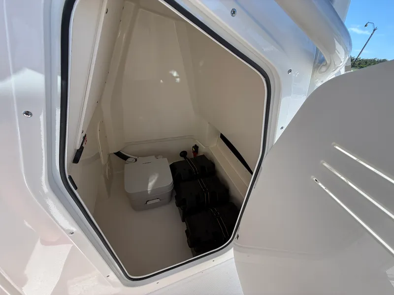 Slide: The Image of Boston Whaler 250 Dauntless 2027 - 13