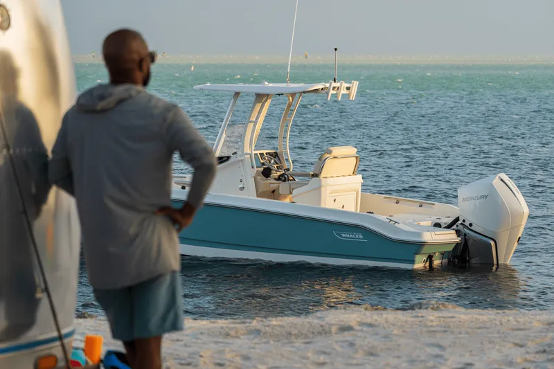 Slide: The Image of Boston Whaler 250 Dauntless 2027 - 17