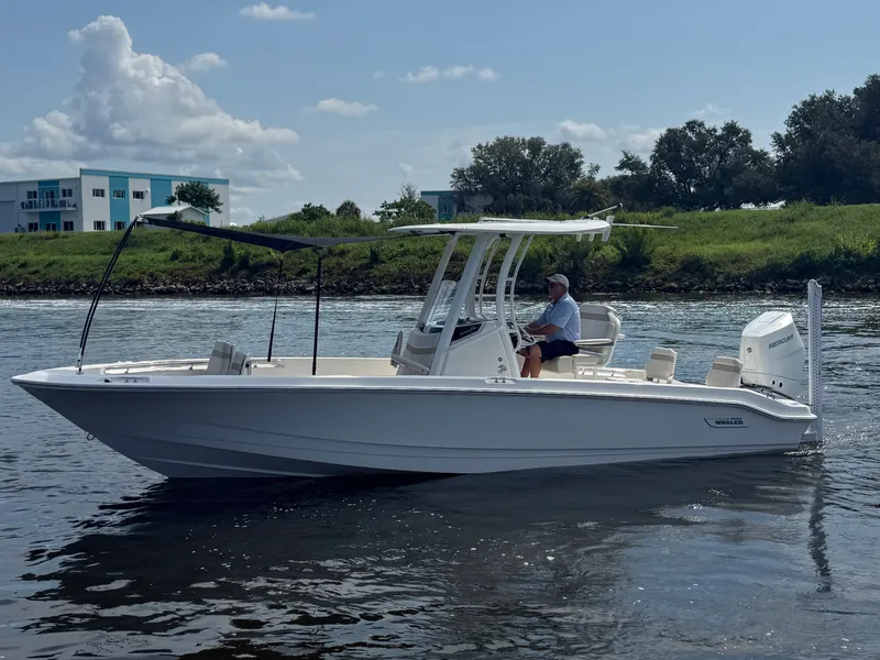 Slide: The Image of Boston Whaler 250 Dauntless 2027 - 8