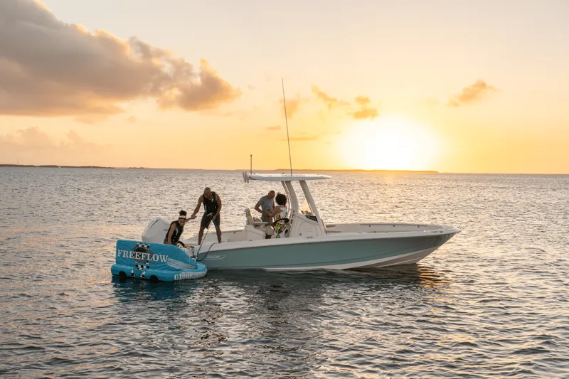 Slide: The Image of Boston Whaler 250 Dauntless 2027 - 30