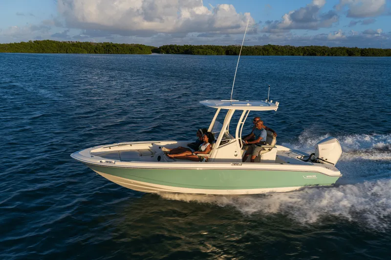 Slide: The Image of Boston Whaler 250 Dauntless 2027 - 27