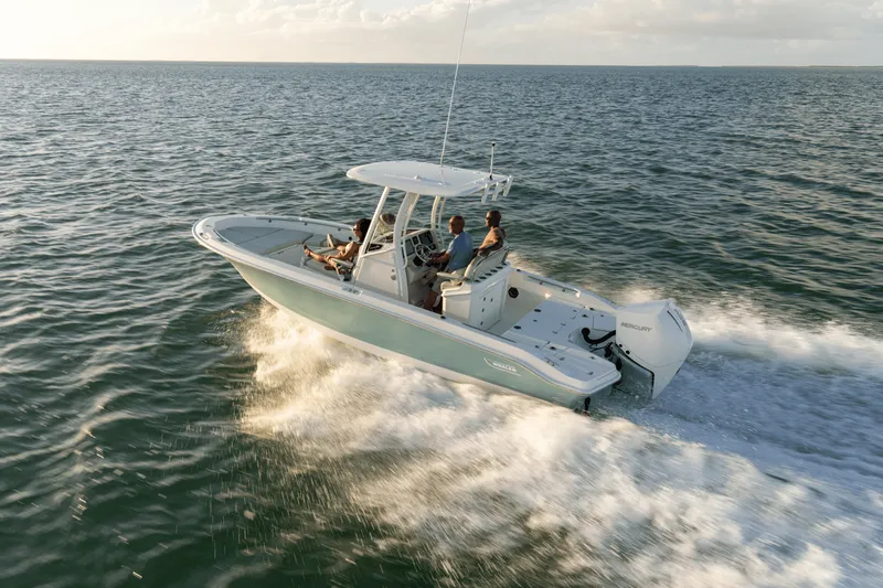 Slide: The Image of Boston Whaler 250 Dauntless 2027 - 29