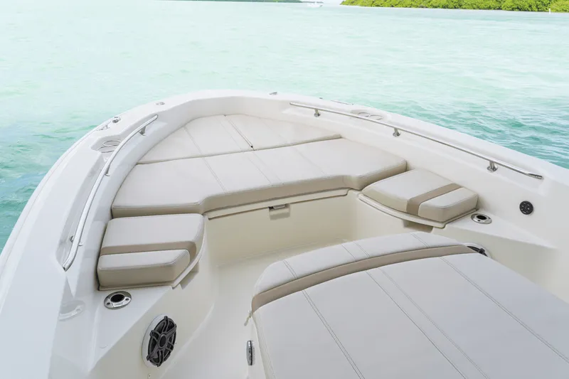 Slide: The Image of Boston Whaler 250 Dauntless 2027 - 47
