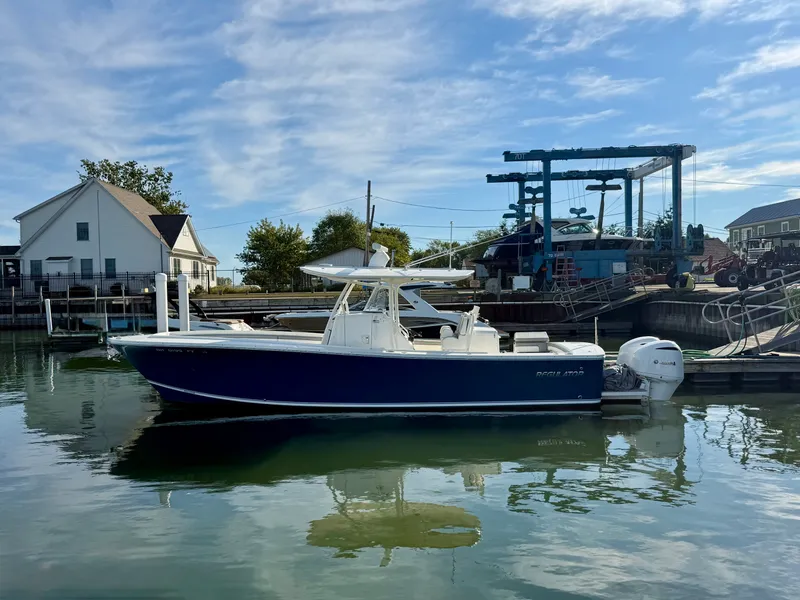 The Image of Regulator Marine 31 2019 - 0