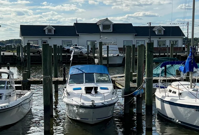 Slide: The Image of 1991 Sea Ray Sundancer 220 docked at marina with blue canopy. - 2