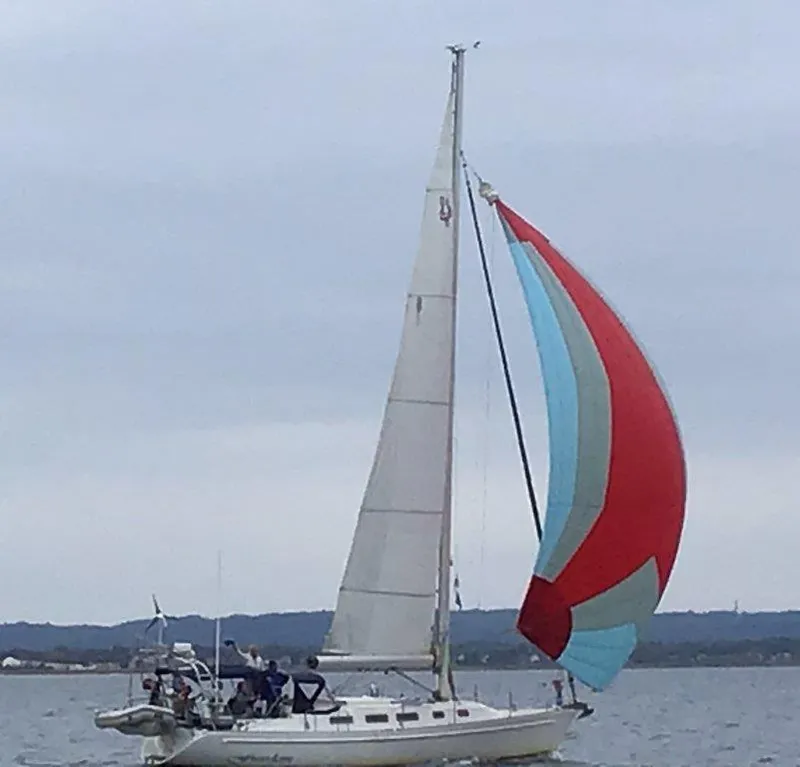 Slide: The Image of Sailboat Freedom 40/40, 1995 model, with colorful spinnaker on a calm sea. - 23
