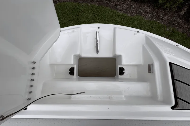 Slide: The Image of Sea Ray SDX 250 Outboard 2026 - 20