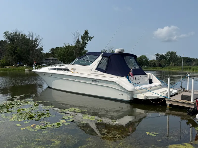 The Image of Sea Ray 44 SUNDANCER 1993 - 0