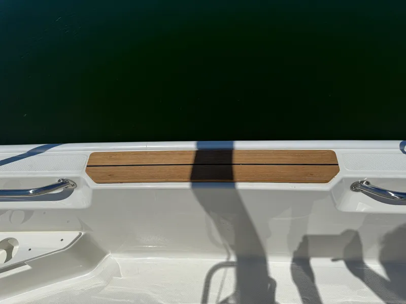 Slide: The Image of Boston Whaler 170 Montauk 2027 - 14