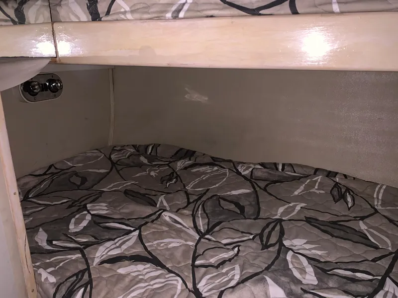 Slide: The Image of Phoenix Bass Boat 38 SFX Convertible 1997 - 69