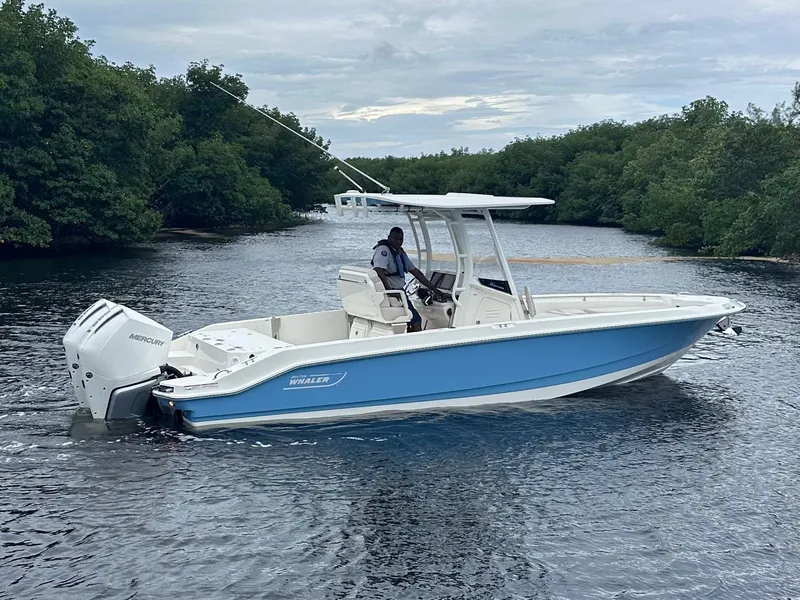 Slide: The Image of Boston Whaler 280 Dauntless 2026 - 9