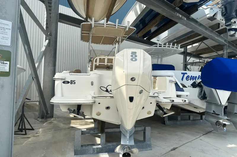 Slide: The Image of Scout 215 XSF 2019 - 8