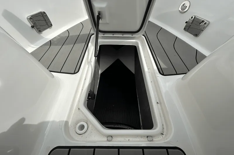 Slide: The Image of Sea Ray 310 SLX 2025 - 55