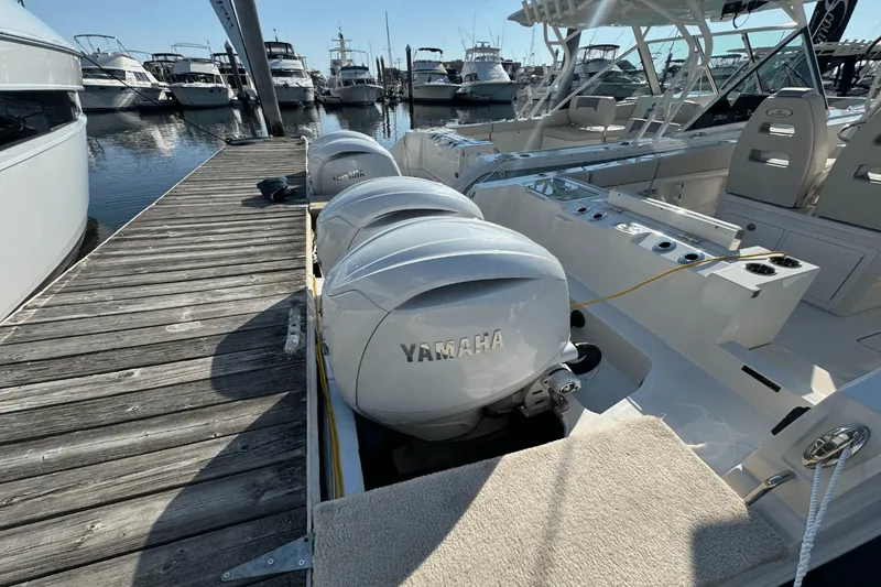 Slide: The Image of Sailfish 252 CC 2026 - 2