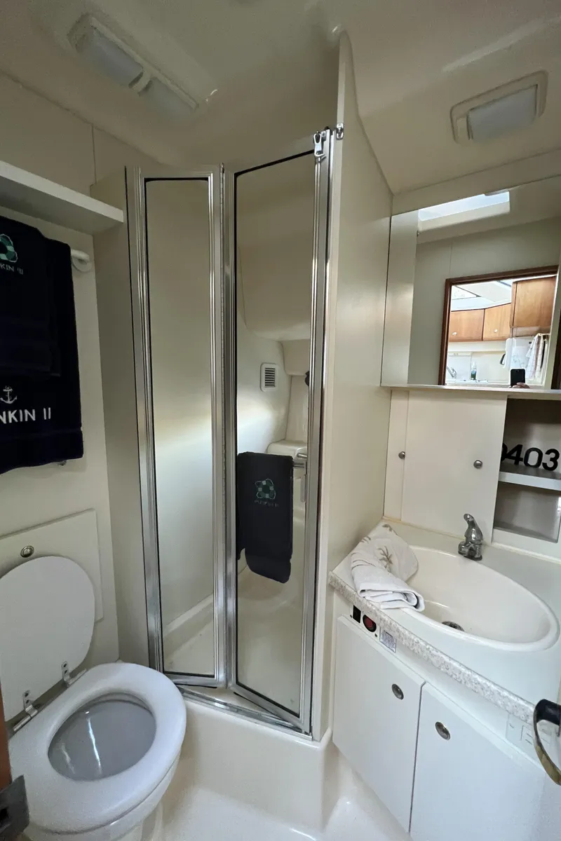 Slide: The Image of Silverton 35 Head - 8