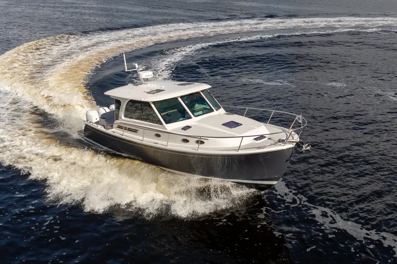 The Image of Back Cove 390 2022 - 0