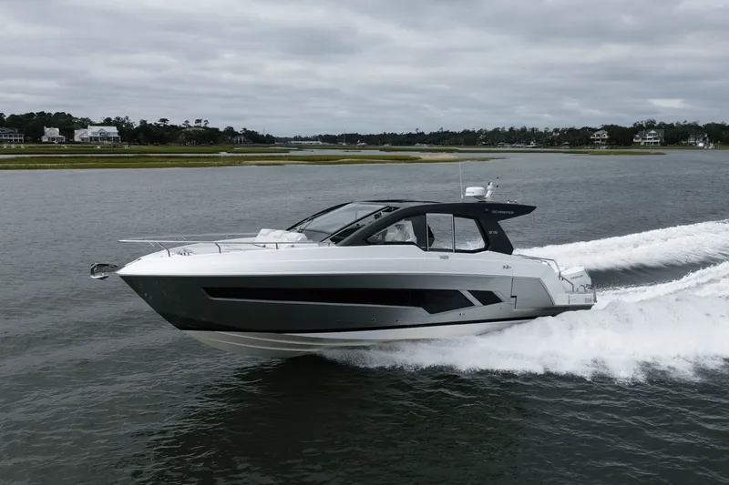 The Image of Schaefer 375 2024 - 0