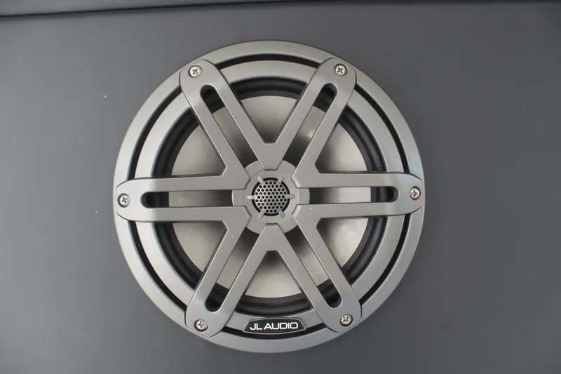 Slide: The Image of Schaefer 375 2024 - 69